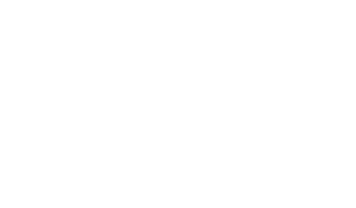 R.A.V.I.D. Logo